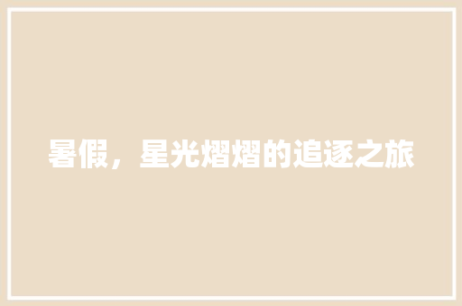 暑假，星光熠熠的追逐之旅
