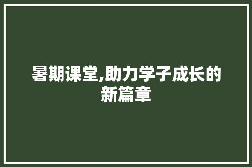 暑期课堂,助力学子成长的新篇章