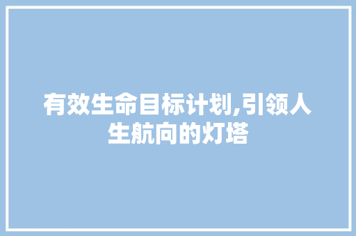 有效生命目标计划,引领人生航向的灯塔