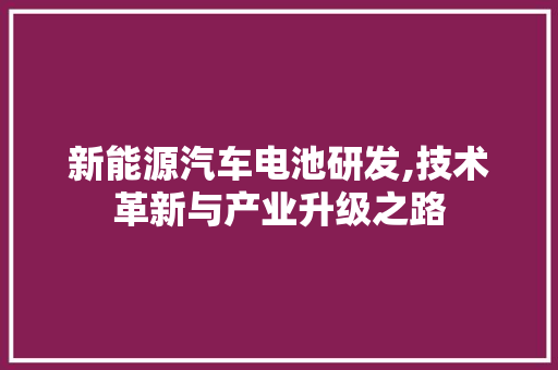 新能源汽车电池研发,技术革新与产业升级之路