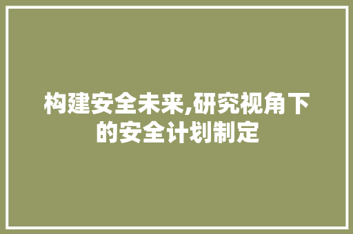 构建安全未来,研究视角下的安全计划制定