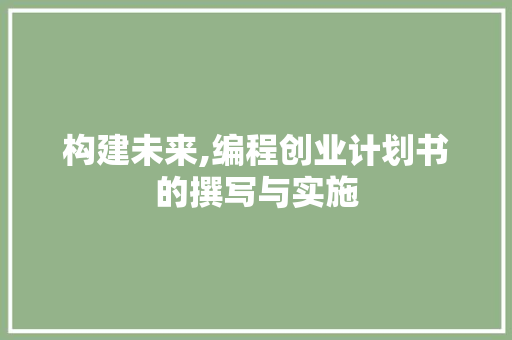 构建未来,编程创业计划书的撰写与实施 商业文稿