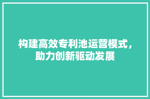 构建高效专利池运营模式，助力创新驱动发展