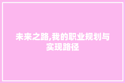 未来之路,我的职业规划与实现路径
