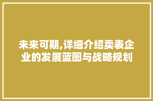 未来可期,详细介绍卖表企业的发展蓝图与战略规划