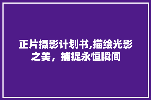 正片摄影计划书,描绘光影之美，捕捉永恒瞬间