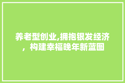 养老型创业,拥抱银发经济，构建幸福晚年新蓝图