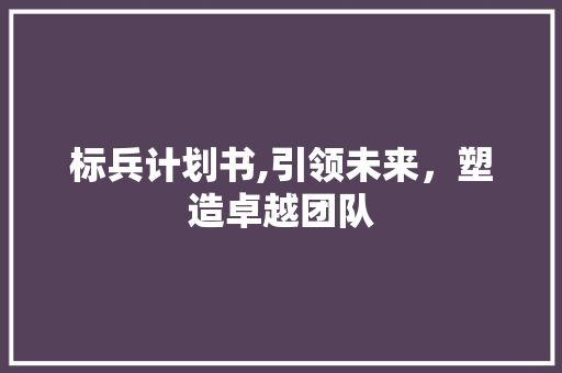 标兵计划书,引领未来，塑造卓越团队