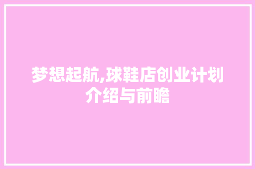 梦想起航,球鞋店创业计划介绍与前瞻