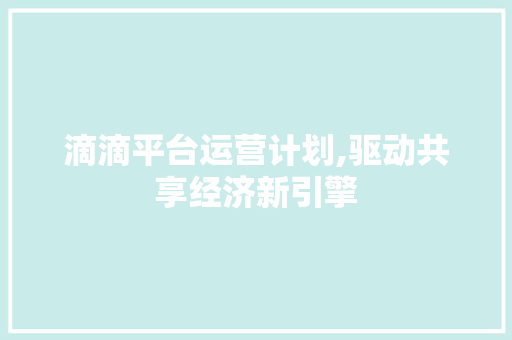 滴滴平台运营计划,驱动共享经济新引擎