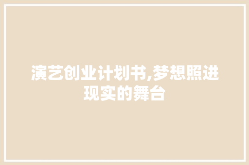 演艺创业计划书,梦想照进现实的舞台