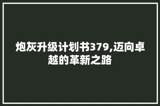 炮灰升级计划书379,迈向卓越的革新之路