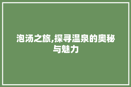 泡汤之旅,探寻温泉的奥秘与魅力