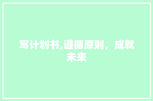 写计划书,遵循原则，成就未来