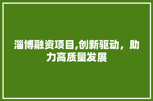 淄博融资项目,创新驱动，助力高质量发展 商业文稿