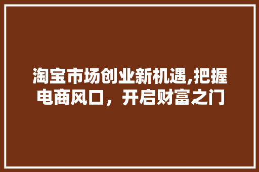 淘宝市场创业新机遇,把握电商风口，开启财富之门 生活类