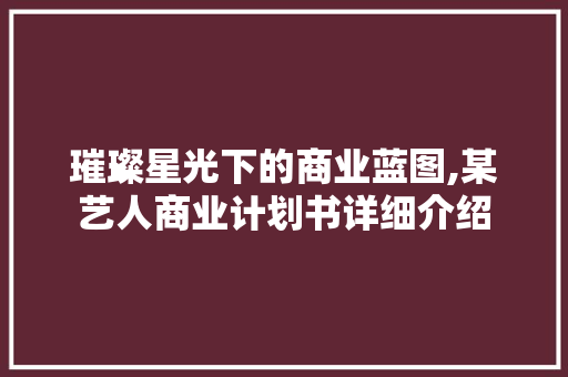 璀璨星光下的商业蓝图,某艺人商业计划书详细介绍