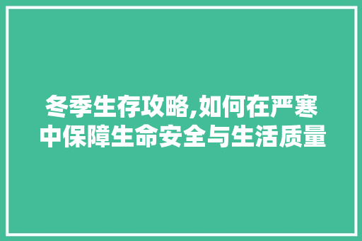 冬季生存攻略,如何在严寒中保障生命安全与生活质量