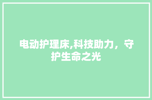 电动护理床,科技助力，守护生命之光