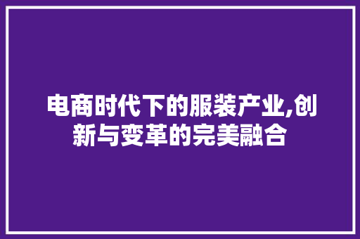 电商时代下的服装产业,创新与变革的完美融合