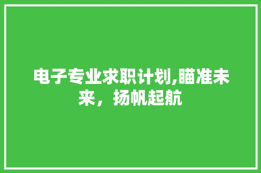 电子专业求职计划,瞄准未来，扬帆起航