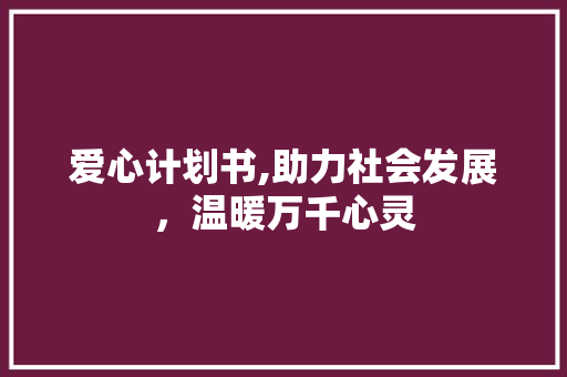 爱心计划书,助力社会发展，温暖万千心灵