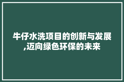 牛仔水洗项目的创新与发展,迈向绿色环保的未来