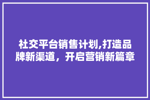 社交平台销售计划,打造品牌新渠道，开启营销新篇章