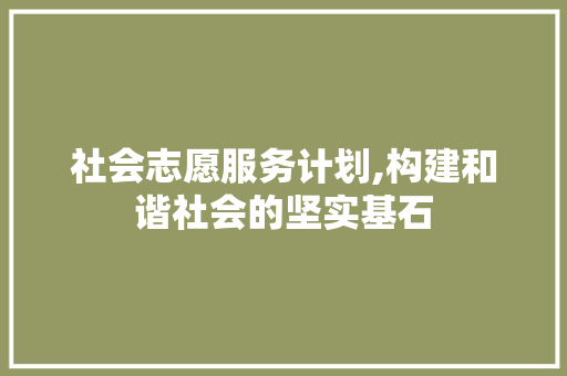 社会志愿服务计划,构建和谐社会的坚实基石