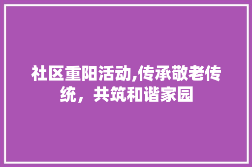 社区重阳活动,传承敬老传统，共筑和谐家园