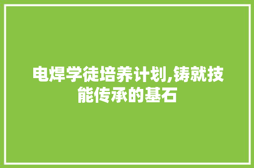 电焊学徒培养计划,铸就技能传承的基石