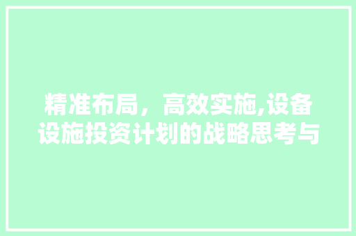 精准布局，高效实施,设备设施投资计划的战略思考与方法