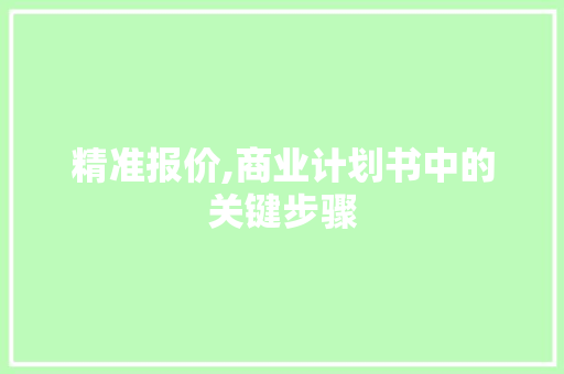 精准报价,商业计划书中的关键步骤