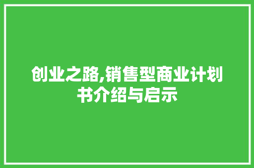 创业之路,销售型商业计划书介绍与启示