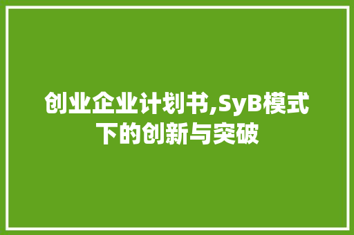 创业企业计划书,SyB模式下的创新与突破