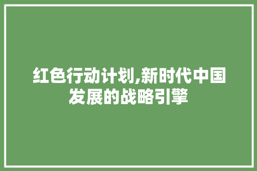 红色行动计划,新时代中国发展的战略引擎