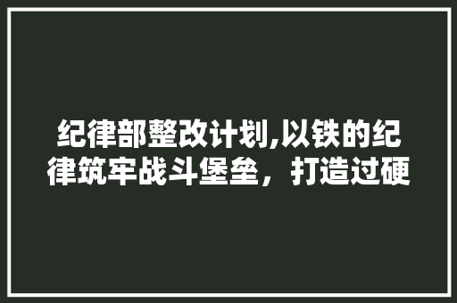 纪律部整改计划,以铁的纪律筑牢战斗堡垒，打造过硬队伍 工作类