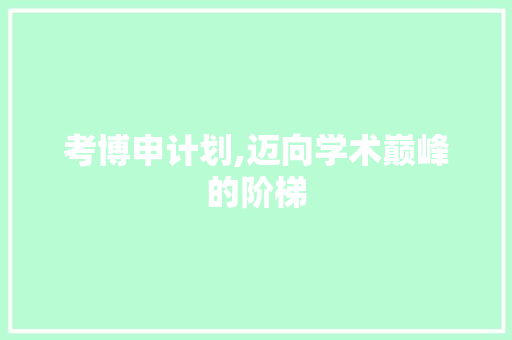 考博申计划,迈向学术巅峰的阶梯 工作总结