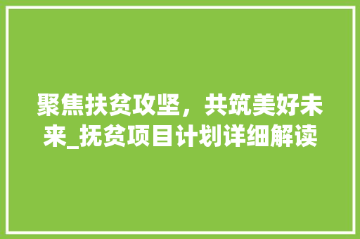聚焦扶贫攻坚，共筑美好未来_抚贫项目计划详细解读