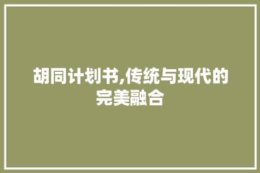 胡同计划书,传统与现代的完美融合
