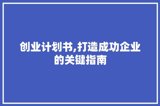 创业计划书,打造成功企业的关键指南