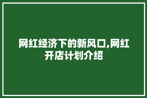 网红经济下的新风口,网红开店计划介绍 商业文稿