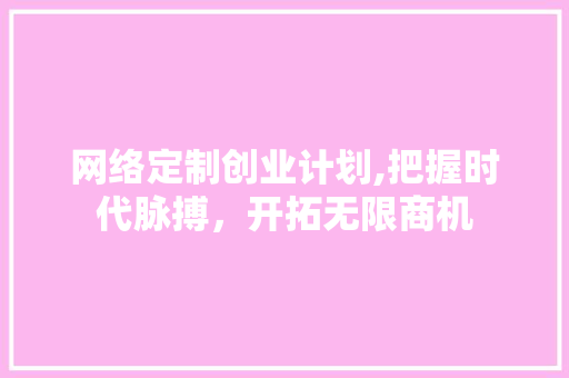 网络定制创业计划,把握时代脉搏，开拓无限商机