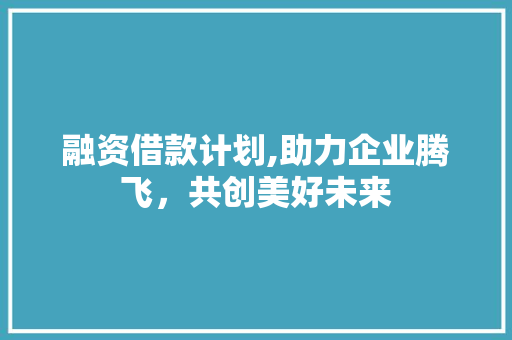 融资借款计划,助力企业腾飞，共创美好未来