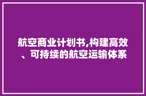 航空商业计划书,构建高效、可持续的航空运输体系
