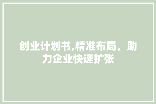 创业计划书,精准布局，助力企业快速扩张