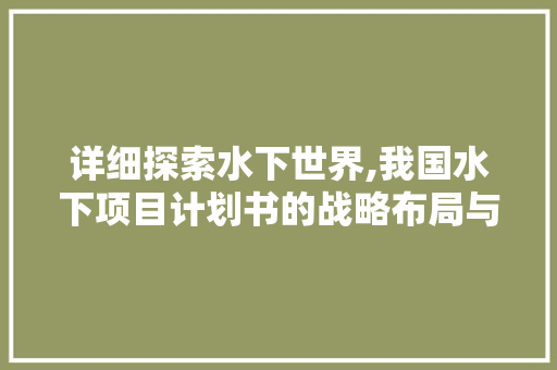 详细探索水下世界,我国水下项目计划书的战略布局与前瞻