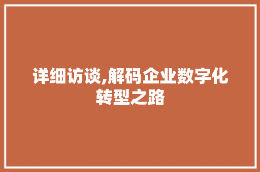 详细访谈,解码企业数字化转型之路 工作报告