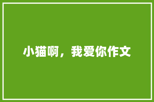 财务发展计划,构建企业可持续发展的基石
