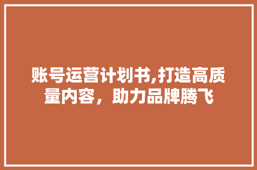账号运营计划书,打造高质量内容，助力品牌腾飞